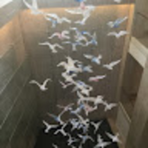 blossomroxs